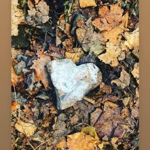 Meet your Posher, Michele - Picture 1 of 1